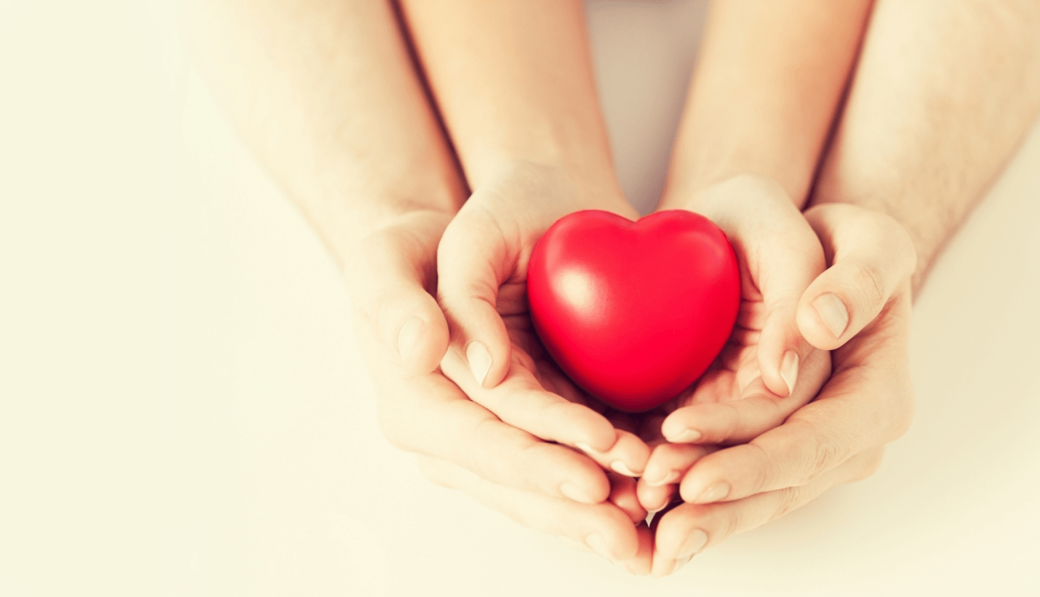 北海道の造血幹細胞移植の充実を目指して